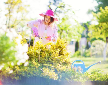 Local experts servicing nearby areas