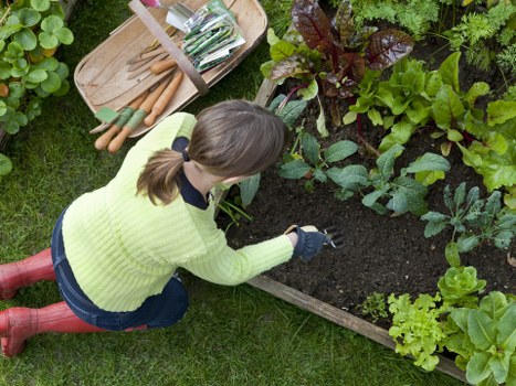 Local climate impact on Cleaners SW13 garden maintenance